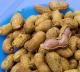 Growing Peanuts